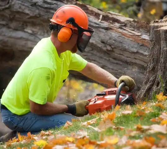 tree services Leominster